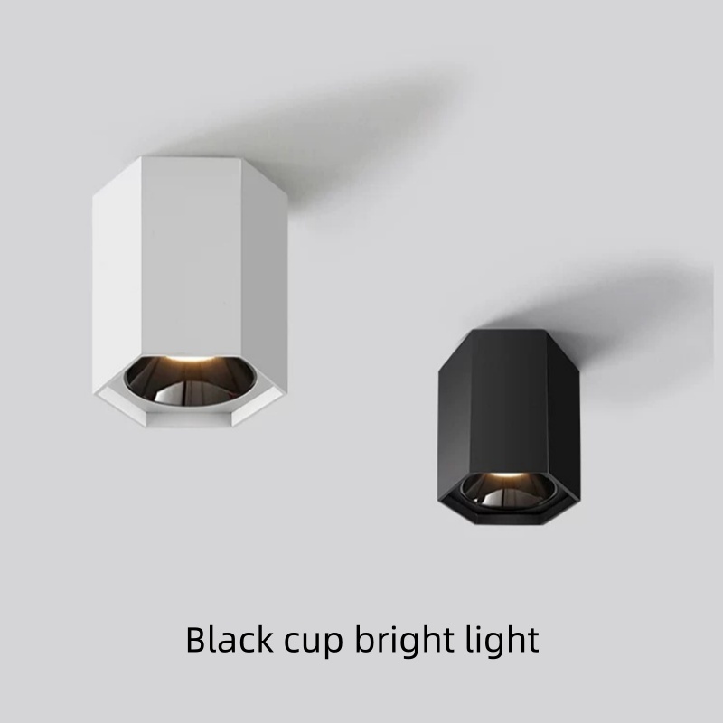 Hole-free LED Spotlight Living - Outdoor Lighting For Store 评论和价格