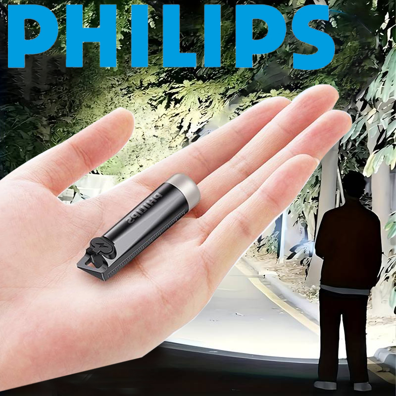 PHILIPS 2025 NEW SFL1121  EDC  - Outdoor Lighting Philips 评论和价格