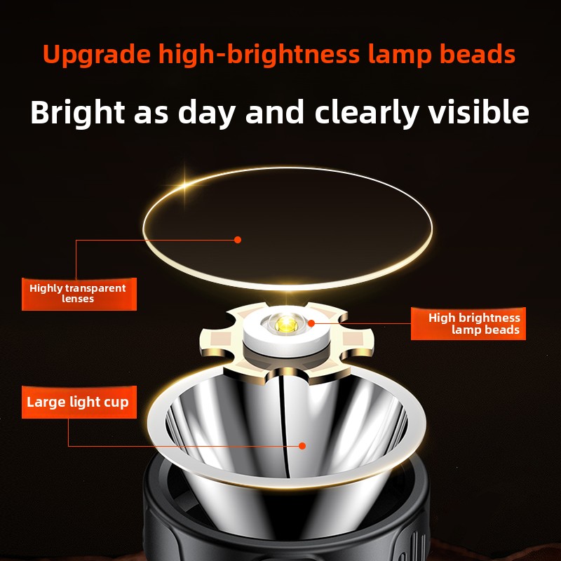 PHILIPS SFL1342 LED Headlamp S - Outdoor Lighting Philips 评论和价格