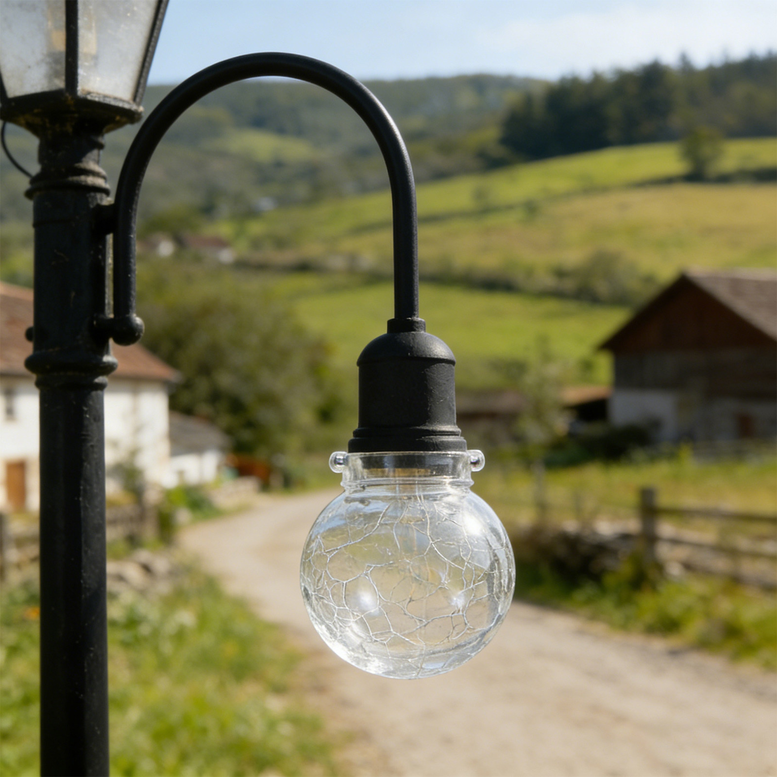 8Pcs Glass Globe Lamp Shade Cr - Outdoor Lighting Glass Replacement 评论和价格