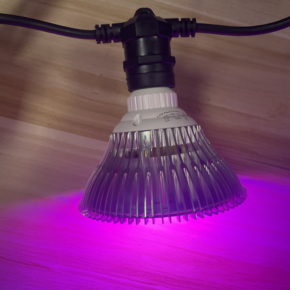 10M Cable LED String Commercia - Lighting Wedding Outdoor 评论和价格
