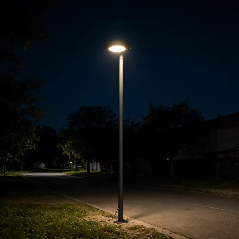 LED Garden Lamp with Steel Pol - Outdoor Lighting Pole 评论和价格