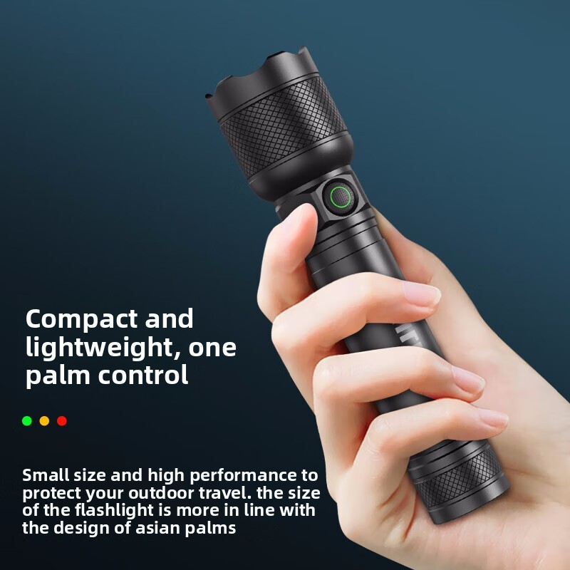 2025 NEW Philips SFL2188 LED A - Outdoor Lighting Philips 评论和价格