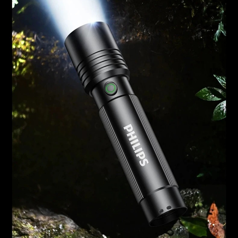 Home & Outdoor Philips SFL2146 - Outdoor Lighting Philips 评论和价格