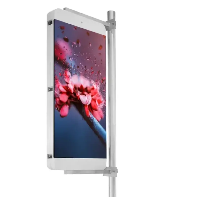 Customizable Waterproof LED Sc - Outdoor Lighting Pole 评论和价格