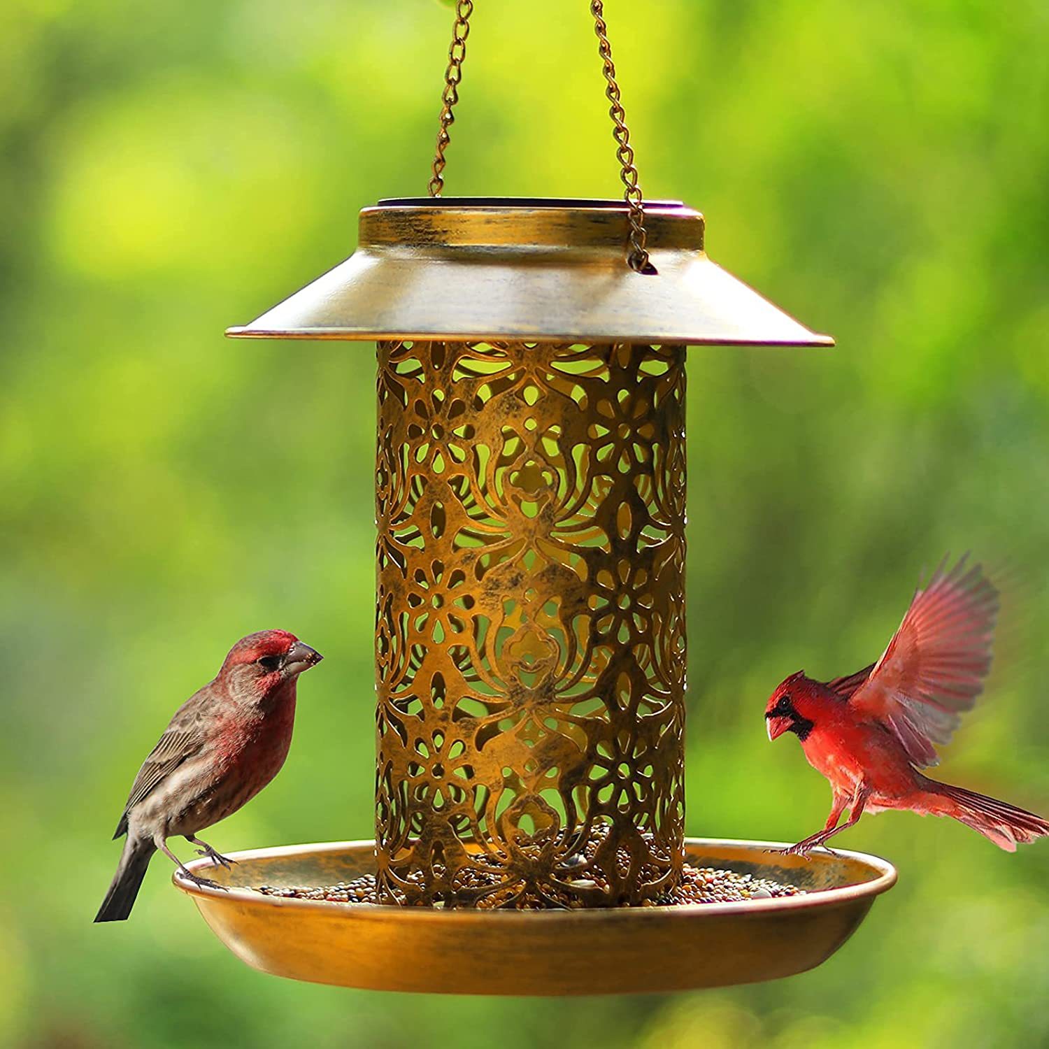 Hanging Bird House Metal Outdo - Outdoor Lighting Backyard Ideas 评论和价格